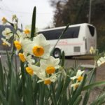 花まつりシーズンのバス駐車場予約について