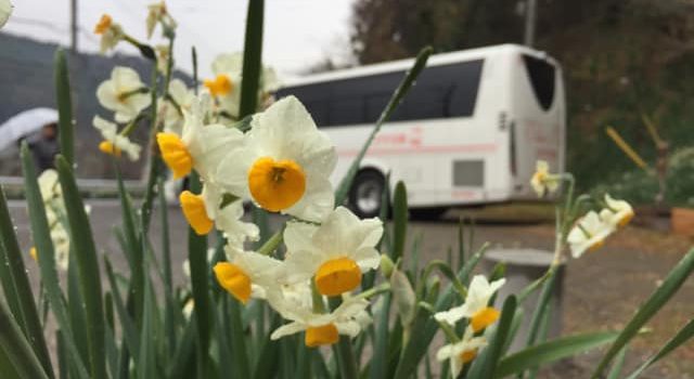 花まつりシーズンのバス駐車場予約について